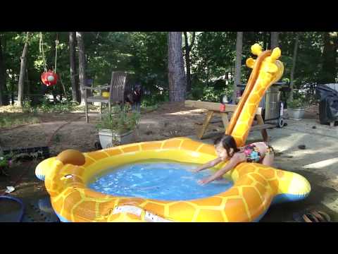 Youtube: diving in the giraffe pool