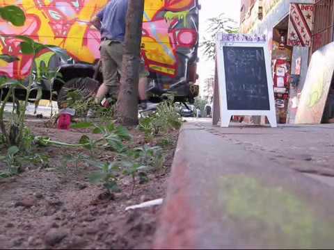 Youtube: Guerilla Gardening Friedrichshain