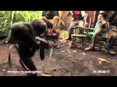 Youtube: Affe mit Maschinengewehr