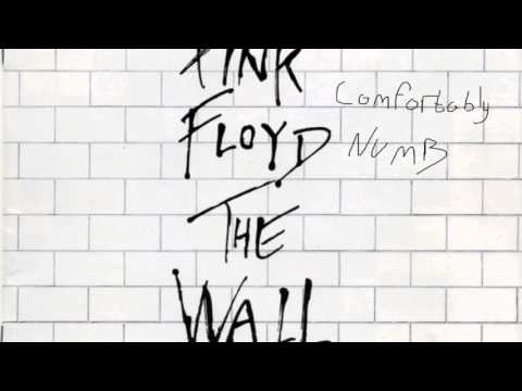 Youtube: Pink Floyd - Comfortably Numb [800% Slower]
