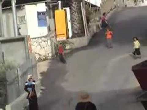 Youtube: Settlers throw stones at woman and baby