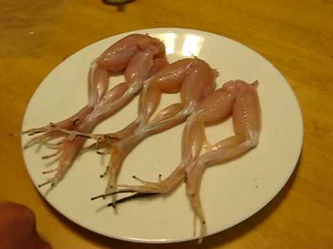 Youtube: Frog Legs Dancing With A Little Salt