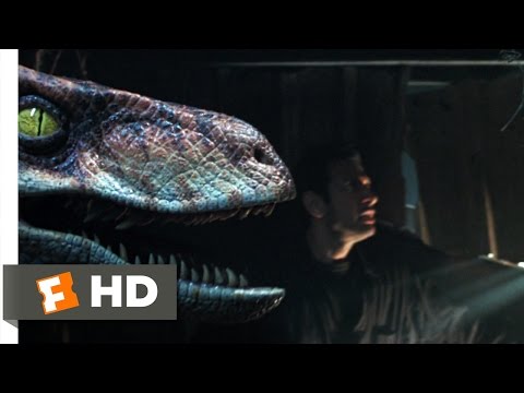 Youtube: The Lost World: Jurassic Park (6/10) Movie CLIP - Raptor vs. Gymnast (1997) HD
