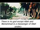 Youtube: Allah written on things, wonder of allah, wunder islam