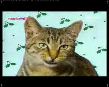 Youtube: silent night - miau (meow)