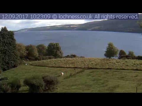 Youtube: Nessie On The Net Loch Ness Live Stream lochness.co.uk