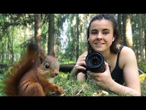 Youtube: I rescued four baby red squirrels  [The Squirrels & Me]