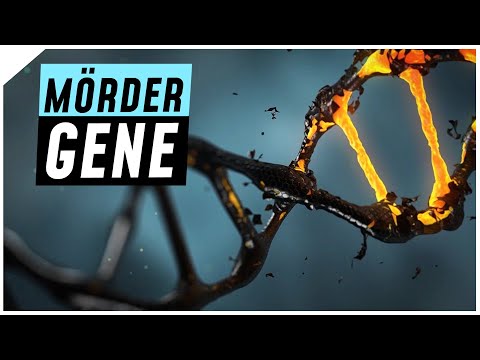 Youtube: Gibt es das “Mörder-Gen” wirklich? | Breaking Lab