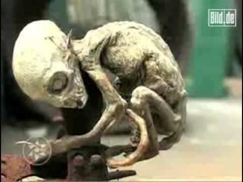 Youtube: Alien Baby in Animal Case ( Mexiko )