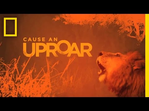 Youtube: Cause an Uproar | National Geographic