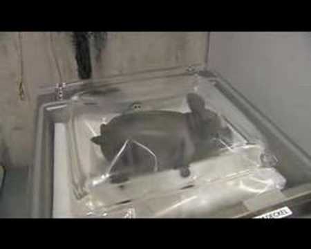Youtube: Vakuumieren einer Gummisau