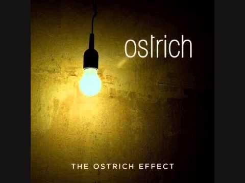 Youtube: Ostrich - A Need To Believe