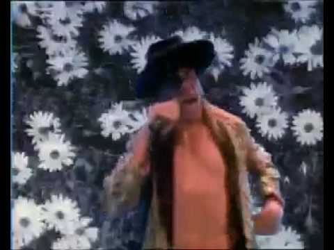 Youtube: Red Hot Chili Peppers Higher Ground Official Video