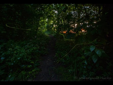 Youtube: Glühwürmchen Flug - Echtzeit