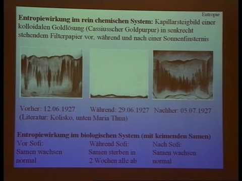 Youtube: 11. Symposium DGEIM, Vortrag Klaus Volkamer