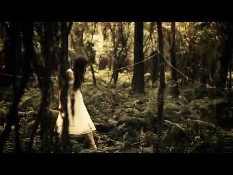 Youtube: The Paper Kites - Bloom (Official Music Video)