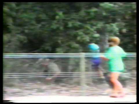 Youtube: Big bird attacks person - cassowary (not a pretty sight)