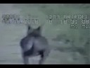 Youtube: Chupacabra on Cops Camera (closer view)