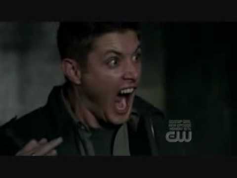 Youtube: supernatural cat scream