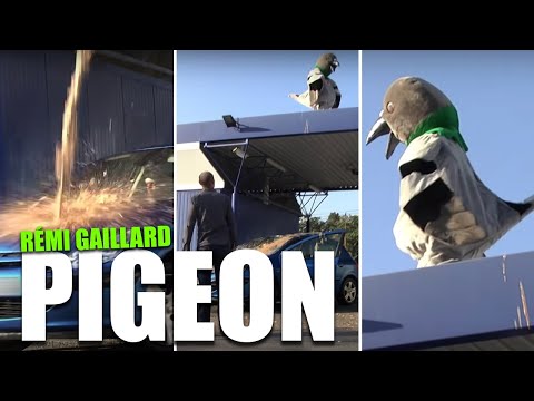 Youtube: PIGEON (REMI GAILLARD) 🐦