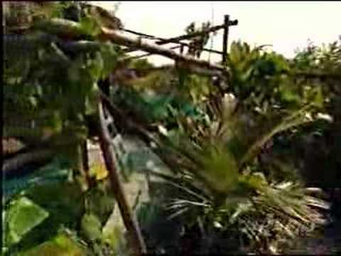 Youtube: Richie Sowa's man made island