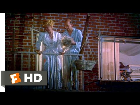 Youtube: Rear Window (3/10) Movie CLIP - Which One of You Killed my Dog? (1954) HD