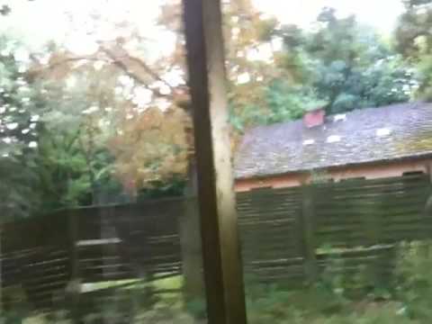 Youtube: Train ride in abandoned amusement park