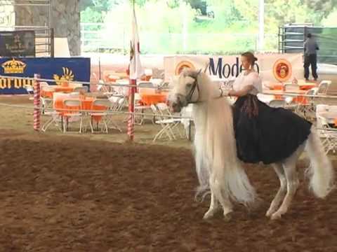 Youtube: Andalusian Horse Garrido and Mylessa Spanish Dancing at ANCCE Show