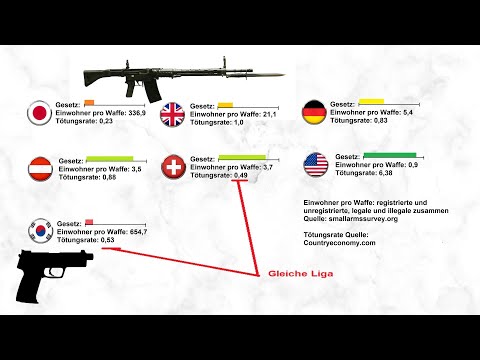 Youtube: Waffengesetze und Sicherheit - Der Trugschluss im Aktionismus