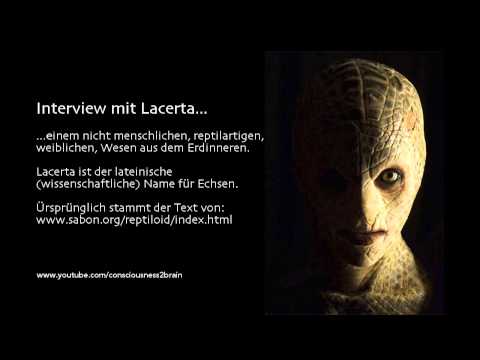 Youtube: Interview mit Lacerta, einen reptilartigen, weiblichen Wesen aus dem Erdinneren