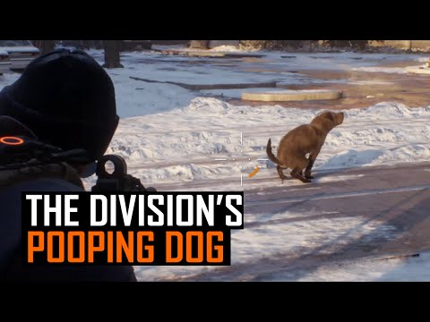 Youtube: The Division's Pooping dog