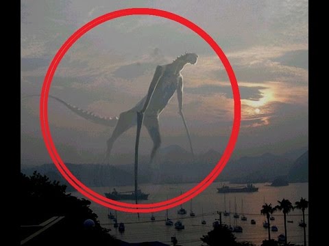 Youtube: Most Horrifying Creatures Ever Caught On Video