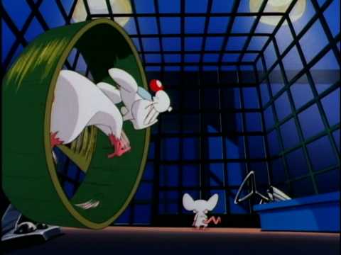 Youtube: Pinky and The Brain Intro