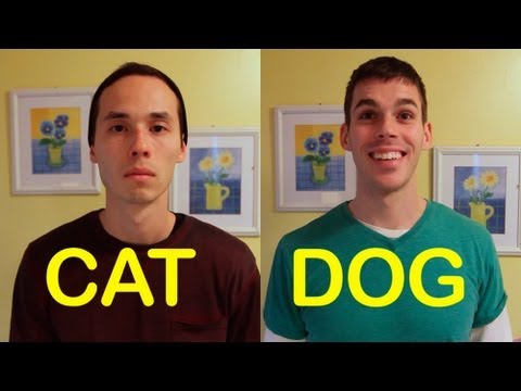 Youtube: Cat-Friend vs Dog-Friend