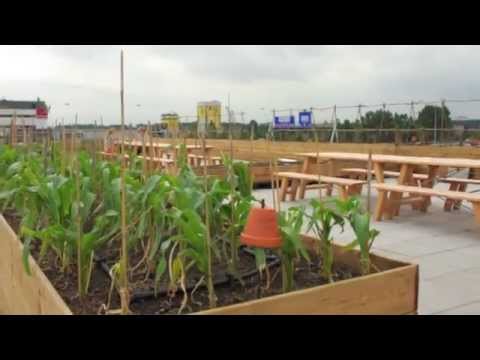 Youtube: Europe's largest Urban Farming Roof