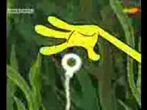 Youtube: Spongebob - magische Miesmuschel (garnichts)