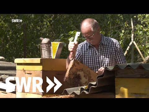 Youtube: Der Königinnen-Züchter - Leo Famulla und seine sanften Bienen | SWR Mensch Leute