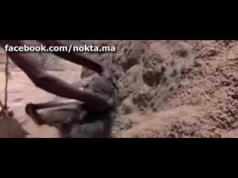 Youtube: How to Catch a monkey