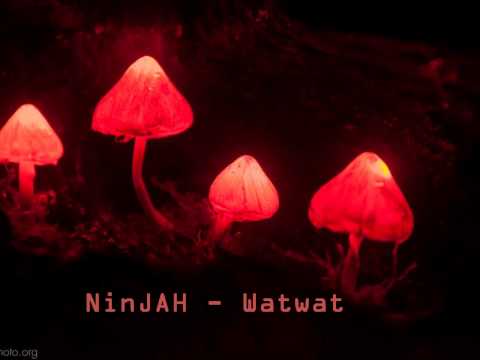 Youtube: NinJAH - Watwat [Acid Core]