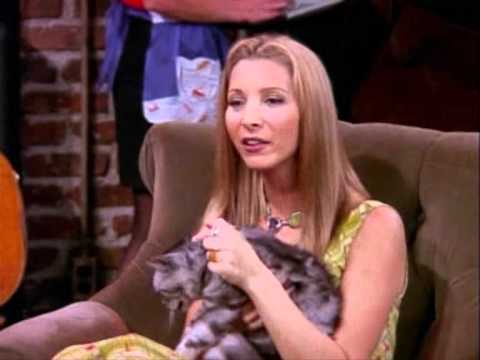 Youtube: This cat is Phoebe's mom-scene from Friends