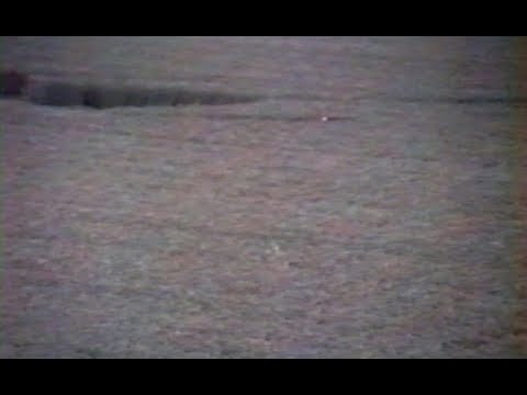 Youtube: New!! Crop Circle Balls of Light, UFO gets smaller as is gets closer to camera