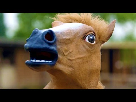 Youtube: HORSE