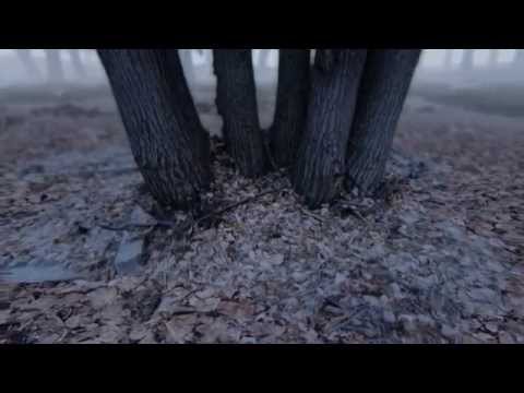 Youtube: Unreal Engine 4 - The Art of Photogrammetry
