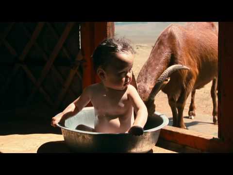 Youtube: Thomas Balmès: Babys | Deutscher Trailer HD