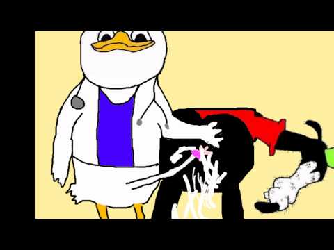 Youtube: Doctor Dolan