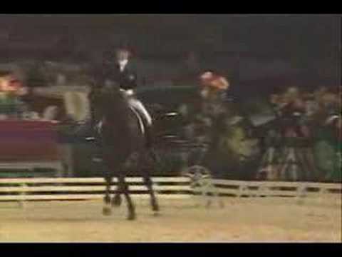 Youtube: Dressage- Song of the Dragon and Phoenix