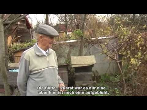 Youtube: Der Imker - Dokumentarfilm