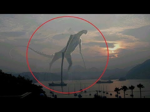 Youtube: 5 Mysterious Creatures Caught on Camera
