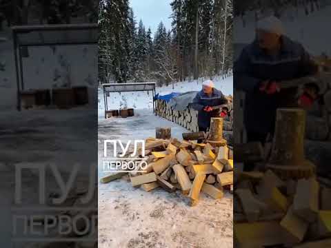 Youtube: Лукашенко и шпиц нарубили дров