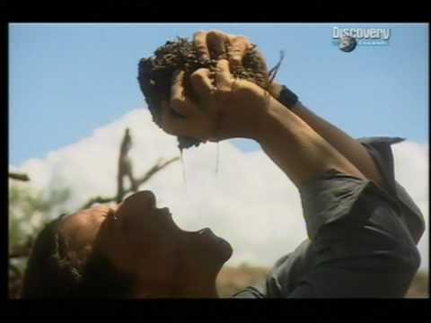 Youtube: Bear Grylls drinking from elephant dung!!